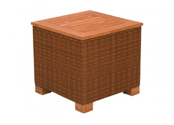 Natural Elements Atrium - Wicker-5